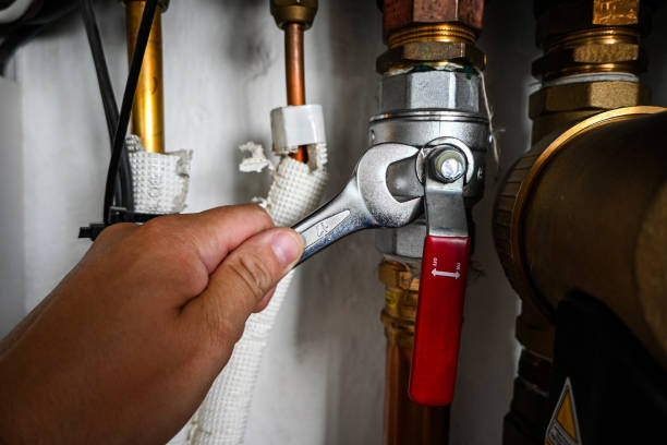 Best Sprinkler Systems  in Burgettstown, PA